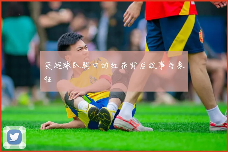 英超球队胸口的红花背后故事与象征