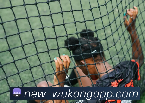 悟空体育平台生态图