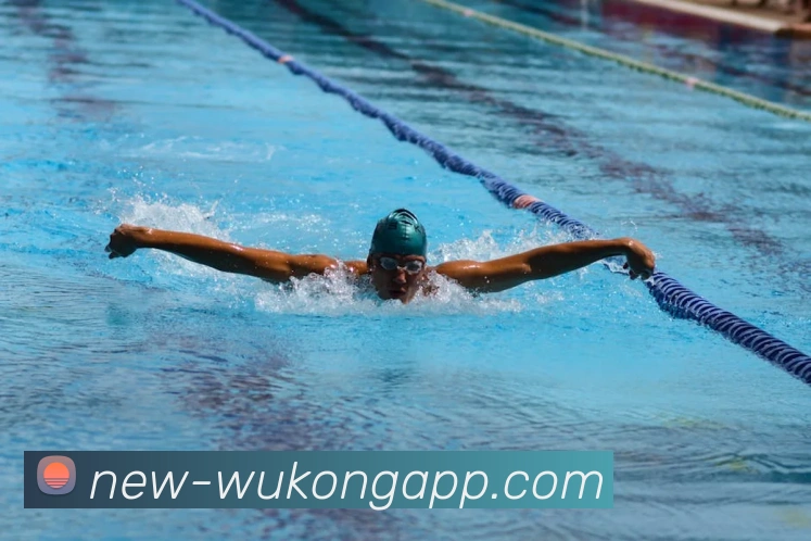 数据防护可视化